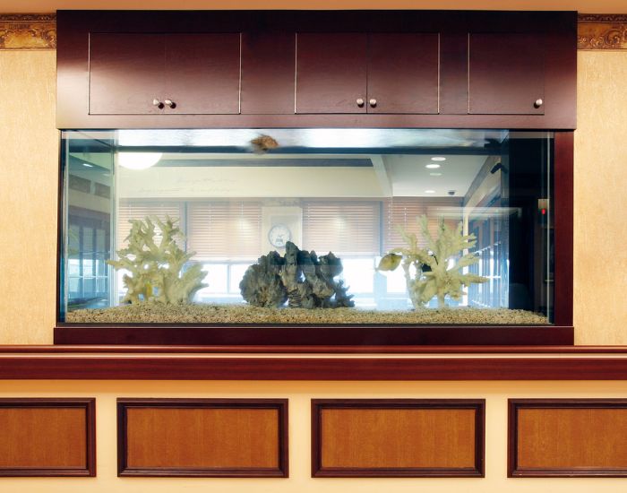 Un acvariu personalizat are multe avantaje și extinde cu siguranță posibilitățile de design. 
